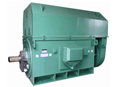 YJTKK4503-2Y系列6KV高压电机