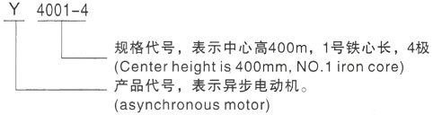 西安泰富西玛Y系列(H355-1000)高压YJTKK4503-2三相异步电机型号说明